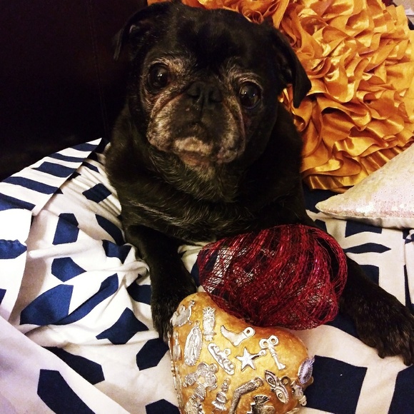 Seashells&Sanctuary - Picture 4 of 4